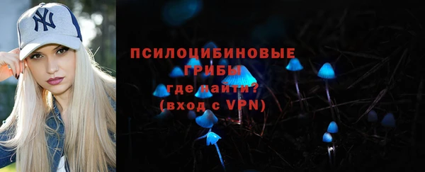 соль ск Алексин
