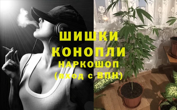 ПСИЛОЦИБИНОВЫЕ ГРИБЫ Абдулино