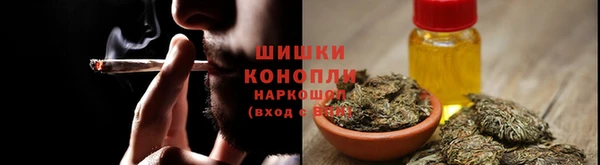 ПСИЛОЦИБИНОВЫЕ ГРИБЫ Абдулино