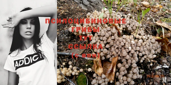 каннабис Абаза