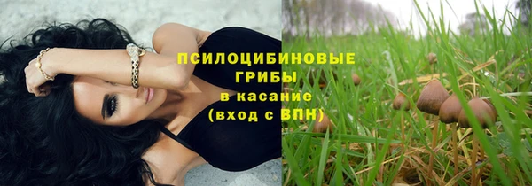 мдпв Остров
