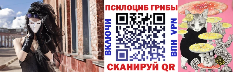 дарнет шоп  Сергач  Галлюциногенные грибы Psilocybe 